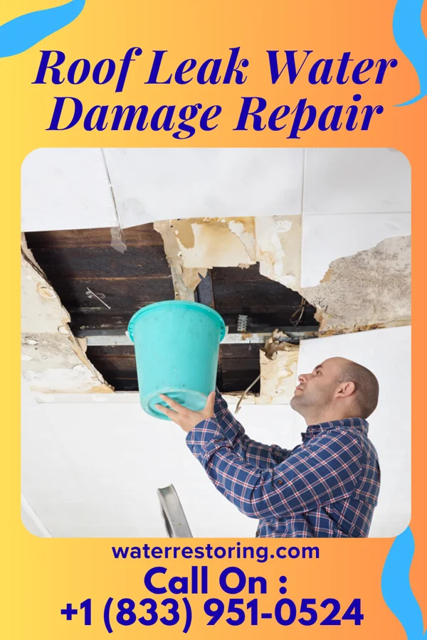 Roof Leak Water Damage Repair in Lebanon, SD